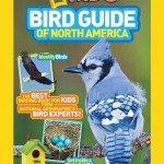 kids bird guide